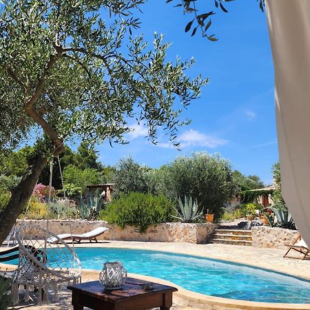Villa Oxa Dreamland สตารีกราด ภายนอก รูปภาพ