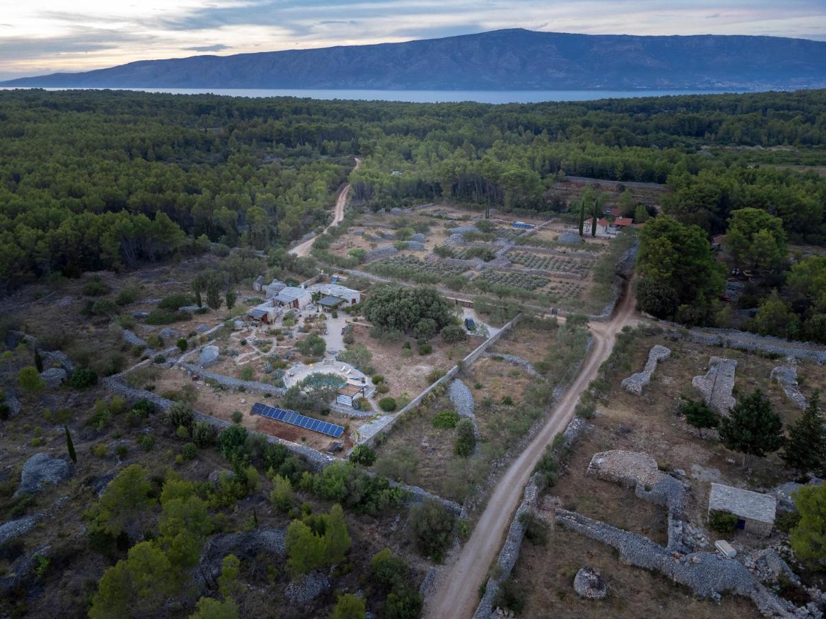 Villa Oxa Dreamland สตารีกราด ภายนอก รูปภาพ